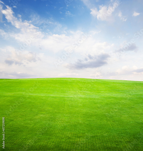 Landscape with green grass field under a blue sky © karandaev