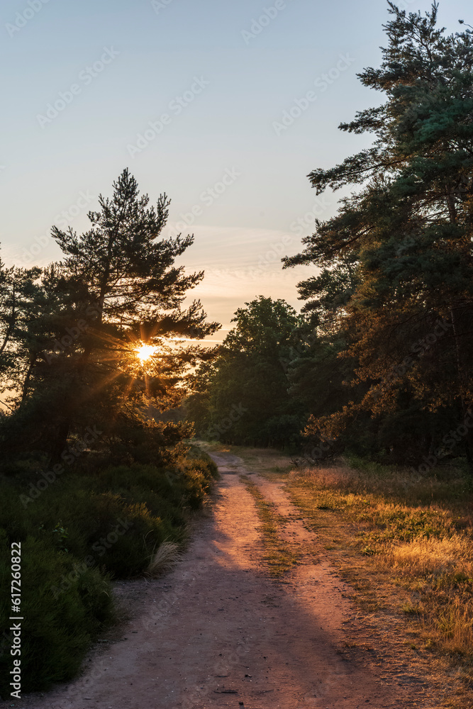 Obraz premium sunrise in the heath