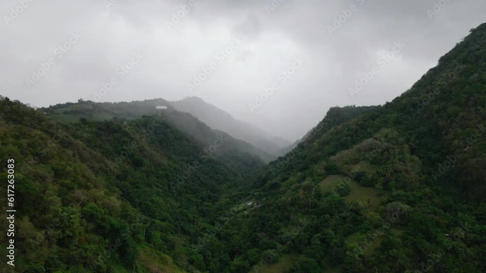 landscape with fog landscape with fog
