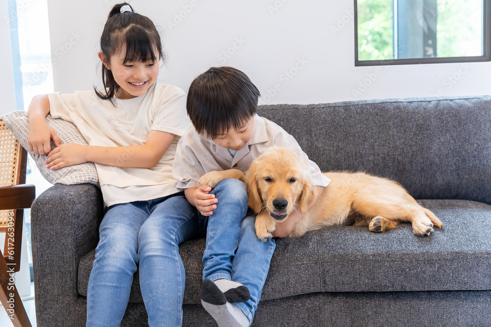 仔犬と戯れる子ども　child playing with puppy