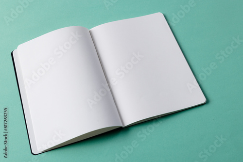 Close up of open book with copy space on green background