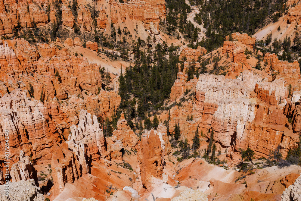 View from Rim Trail near Lower Inspiration Point in Bryce Canyon National Park during spring.
View from Rim Trail near Lower Inspiration Point in Bryce Canyon National Park during spring.