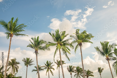 Coconut palm tree at beach with cloud on sky in summer - vintage color tone.. © jakkapan