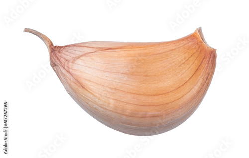 Garlic isolated on transparent  background, PNG image