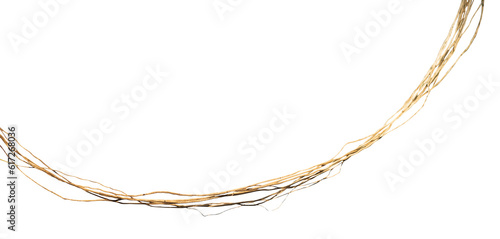 Natural hanging tree root element isolated