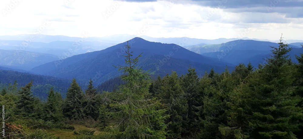 Obraz premium Carpathian mountains, Carpathian forest, Nature of the Carpathians.