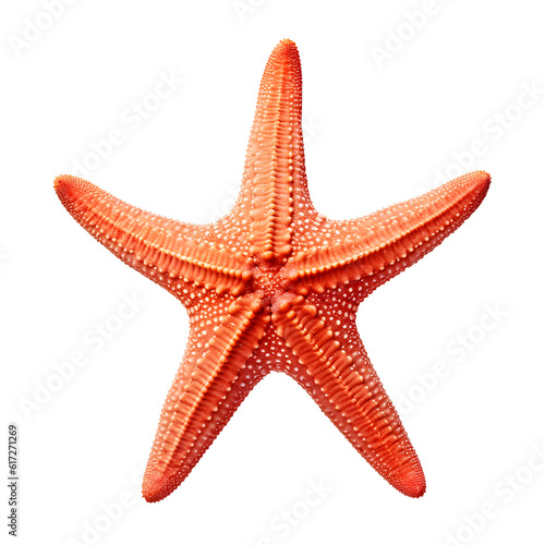 Red starfish isolated on transparent background. PNG format 