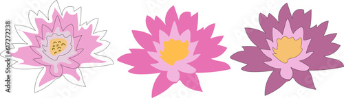Lotus flower in doodle style vector isolated, Lotos set, water lily