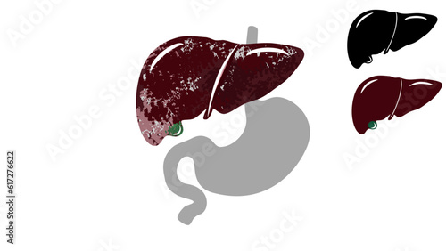 Human liver silhouette
