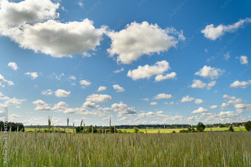 Chmury cumulus zgromadzone nad polami rolnymi na wsi  - obrazy, fototapety, plakaty 