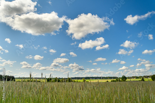 Chmury cumulus zgromadzone nad polami rolnymi na wsi , wiejski krajobraz na wygaszacz