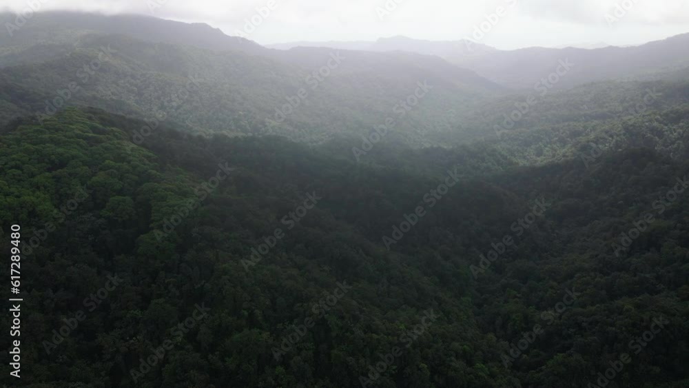 landscape with fog landscape with fog
