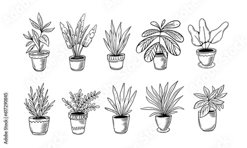 Houseplant and flower pot set line art style vector illustration