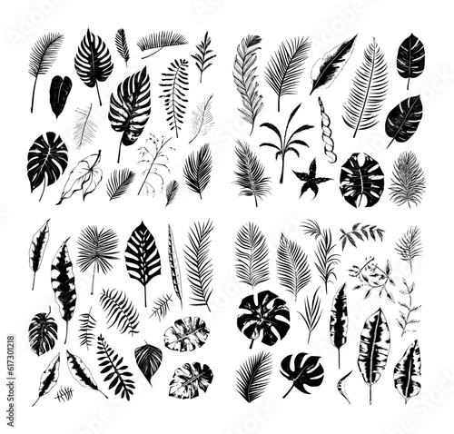illustration set of tropical plants and leaves, hand drawn style, outline sketch.