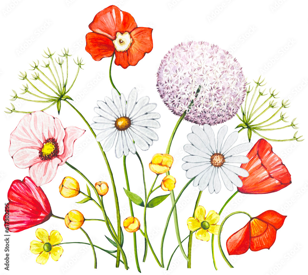 Floral watercolor bouquet with wildflowers, meadow flowers