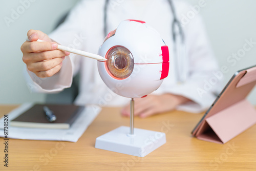 Doctor with human Eye anatomy model with magnifying glass. Eye disease, Refractive Errors, Age Related Macular Degeneration, Cataract, Diabetic Retinopathy, Glaucoma, Amblyopia, Strabismus and Health