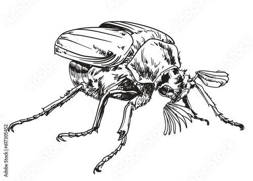 Enter the captivating realm of “Insects” with this unique pack of illustrations, highlighting the insects. Explore their intricate details and remarkable diversity.