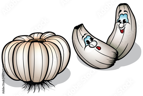 Garlic Head and Two Garlic ...