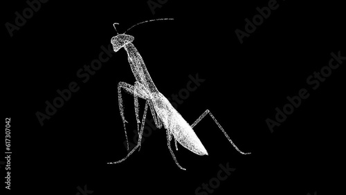 3D mantis rotates on black bg. Insect Mantis. Wild animals concept. Protection of the environment. Zoo concept. For title, text, presentation. Object made of shimmering particles. 3d animation 60 FPS