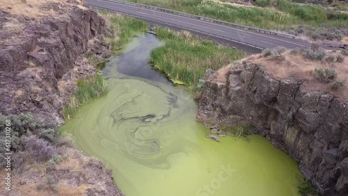 Vibrant green pond scum floats atop roadside wetland, aerial flyover photo