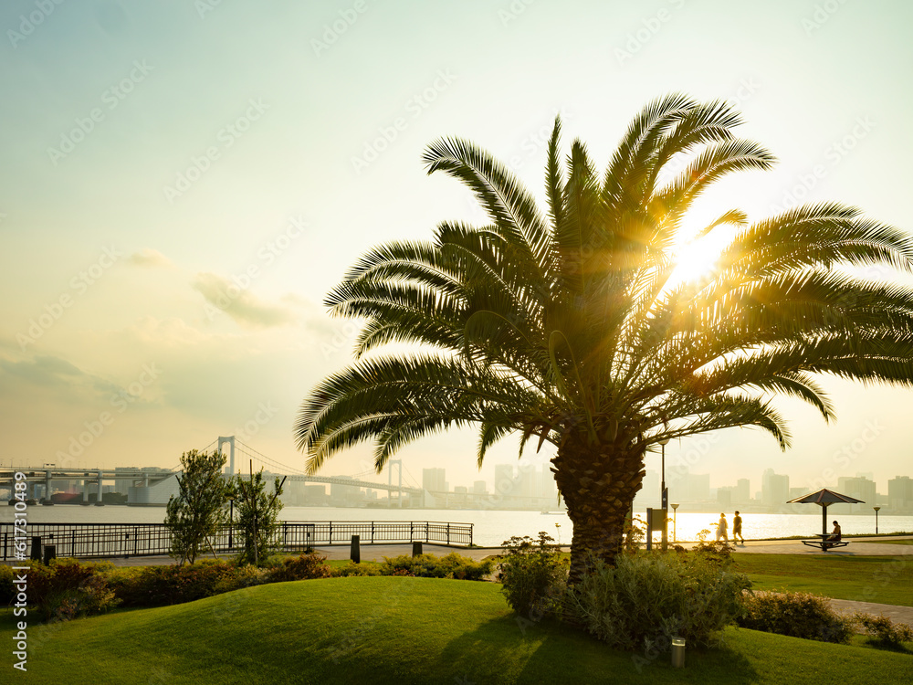豊洲ぐるり公園の夕景 水辺の風が気持ち良い