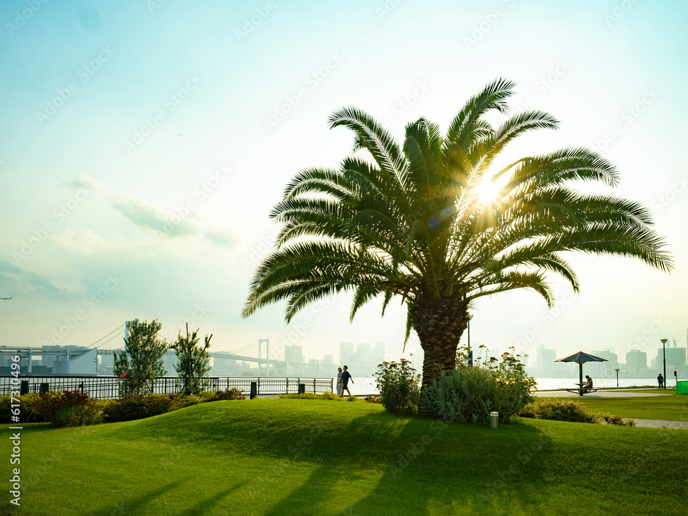 豊洲ぐるり公園の夕景 水辺の風が気持ち良い