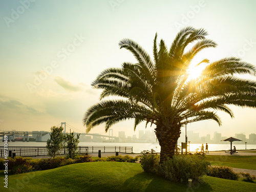 Obraz na płótnie 豊洲ぐるり公園の夕景 水辺の風が気持ち良い w salonie