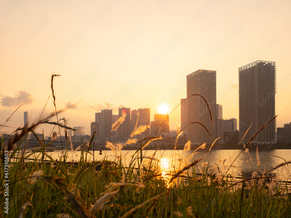 豊洲ぐるり公園の夕景 水辺の風が気持ち良い