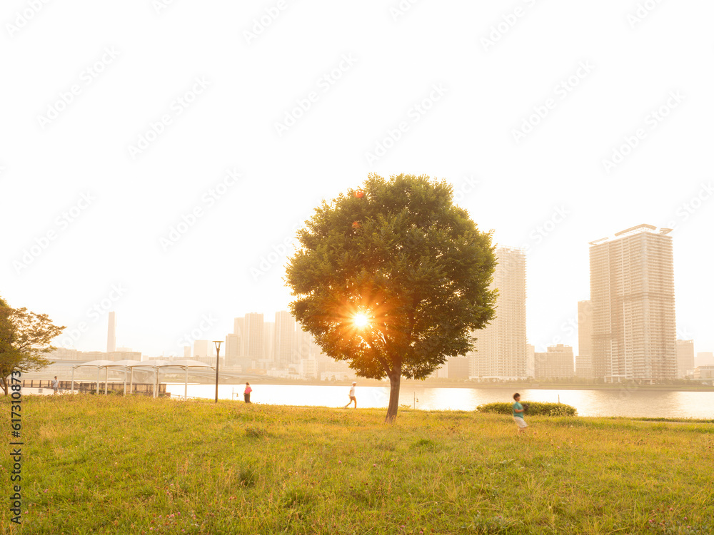 豊洲ぐるり公園の夕景 水辺の風が気持ち良い