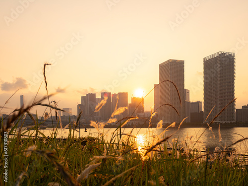 Obraz na płótnie 豊洲ぐるり公園の夕景 水辺の風が気持ち良い w salonie