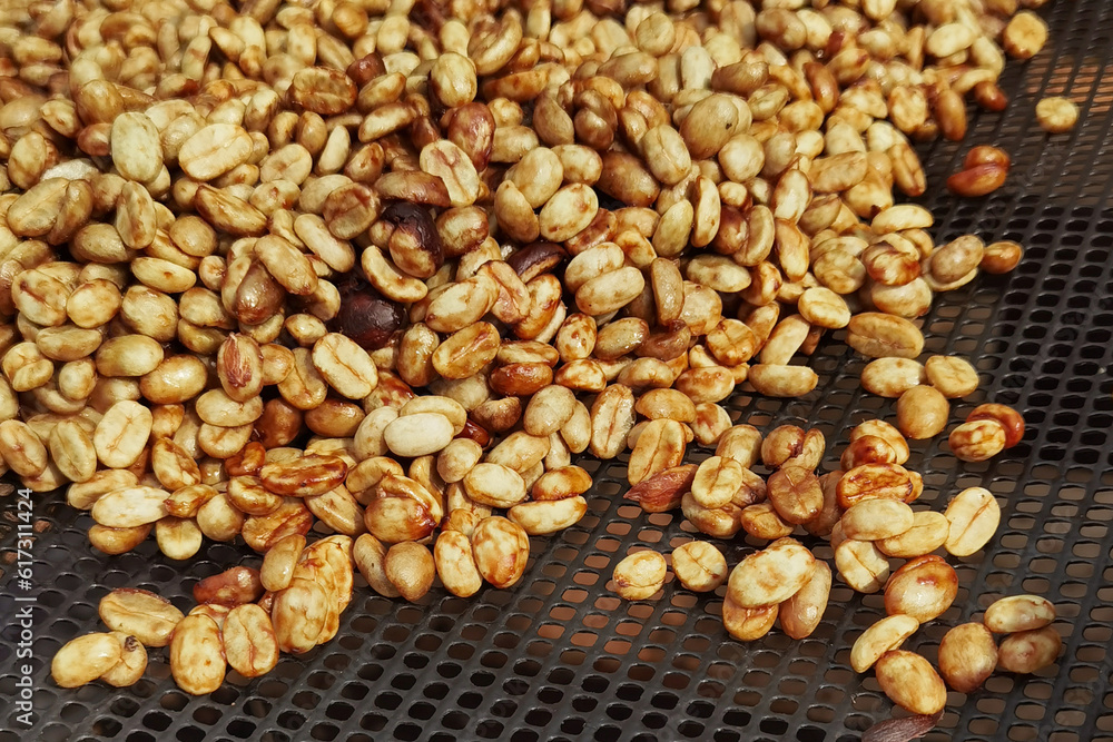 Close up of coffee beans drying in the sun Close up of coffee beans drying in the sun