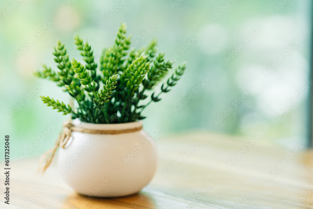 Fototapeta premium Plants in small pots decorate the table to give a fresh feeling. Home decorating ideas.
