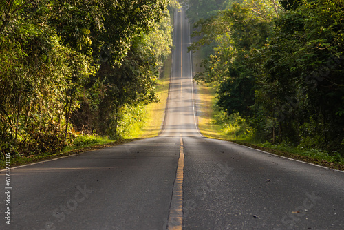 Road in the middle of the forest and ascending to the top of the hill. in Khao Yai National Park, Thailand.