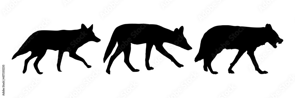 vector silhouette of a wolf, symbol or sign