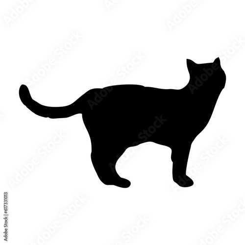 Vector isolated cat silhouette, logo, print, decorative sticker