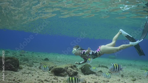 Girl freediver swimming under a large school of sprat and looks at fishes, Slow motion, Close up  photo