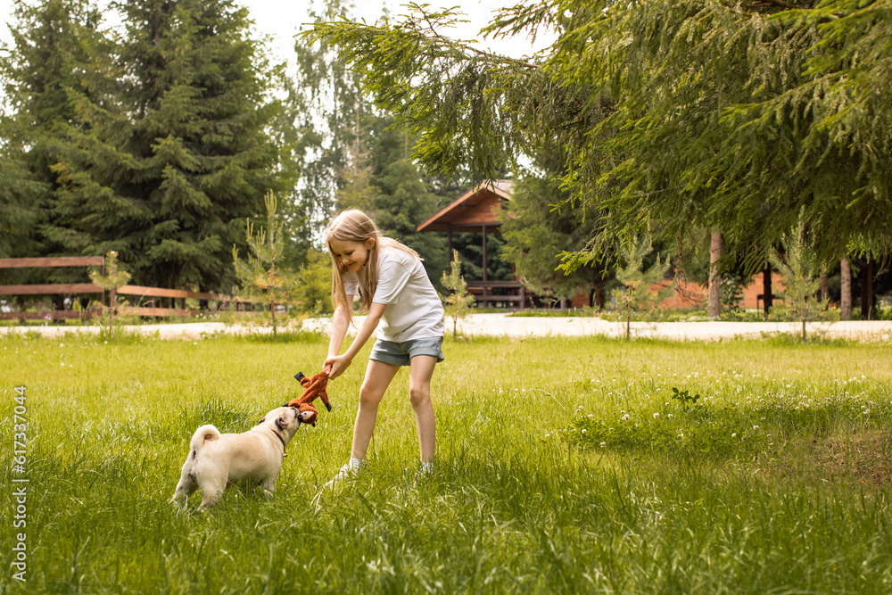 The girl has fun and plays with the dog outdoors. Pug. Pet care. Friendship. The girl has fun and plays with the dog outdoors. Pug. Pet care. Friendship.