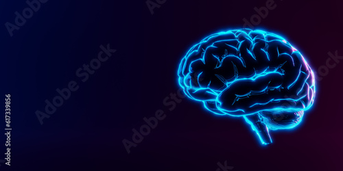 Fototapeta Naklejka Na Ścianę i Meble -  glowing neon human brain model. Deep learning , Machine learning and artificial intelligence , AI Technology, thinking concept. 3d rendering