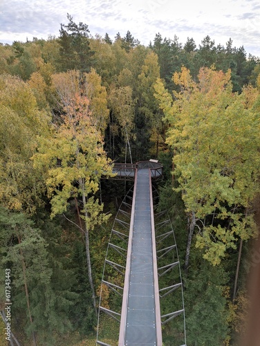 green autumn with walking road