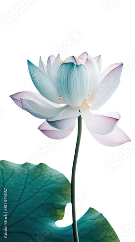 Amazing Image of Beautiful Blooming Lotus Flower with Leaves on PNG Background. Generative AI.