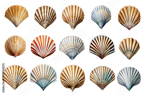 Watercolour sea shell set. Generative Ai