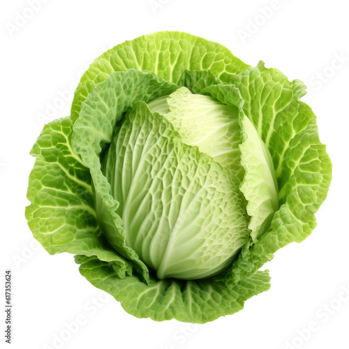Leafy Head of Cabbage Isolated on Transparent Background Food Illustration