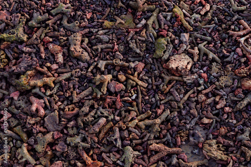 Dead coral fragments lying on a beach, coral reefs on the beach, Beach surface background, Beach texture, Rocky beach Dead coral fragments lying on a beach, coral reefs on the beach, Beach surface background, Beach texture, Rocky beach