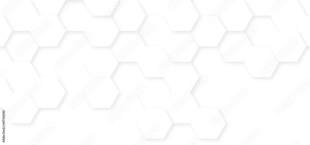 Abstract White Hexagonal Background. Luxury White Pattern. Vector ...