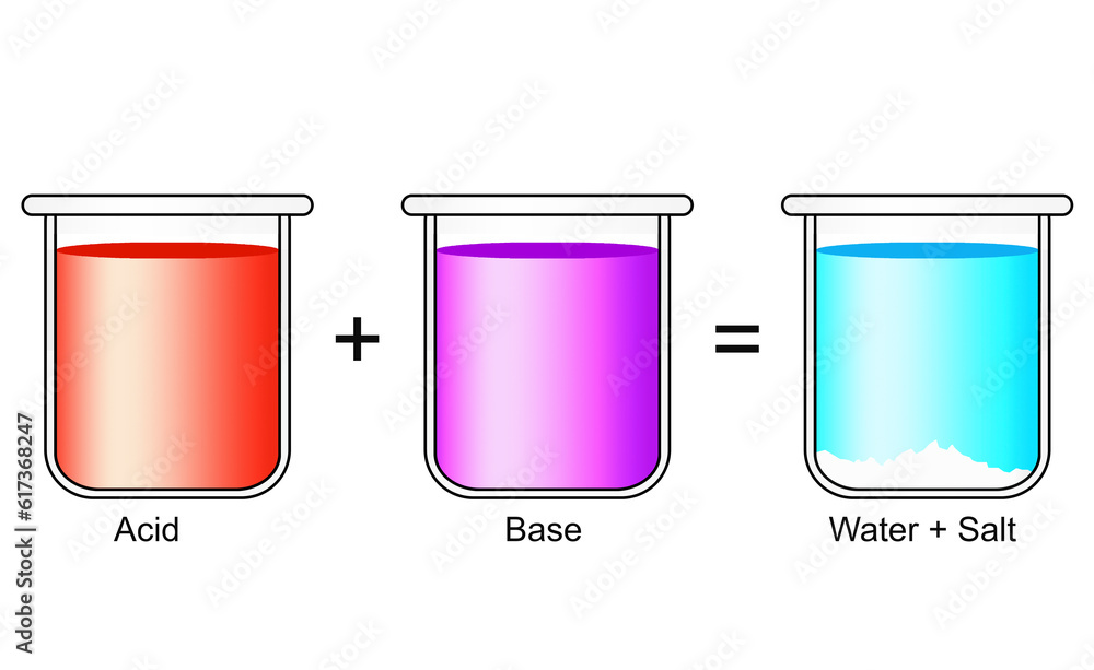 Acid base reaction to form water and salt Stock Illustration Adobe Stock