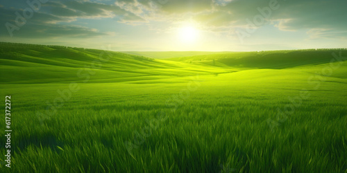 Lush green fields of growing crops under a sunlit sky, vibrant rural landscape