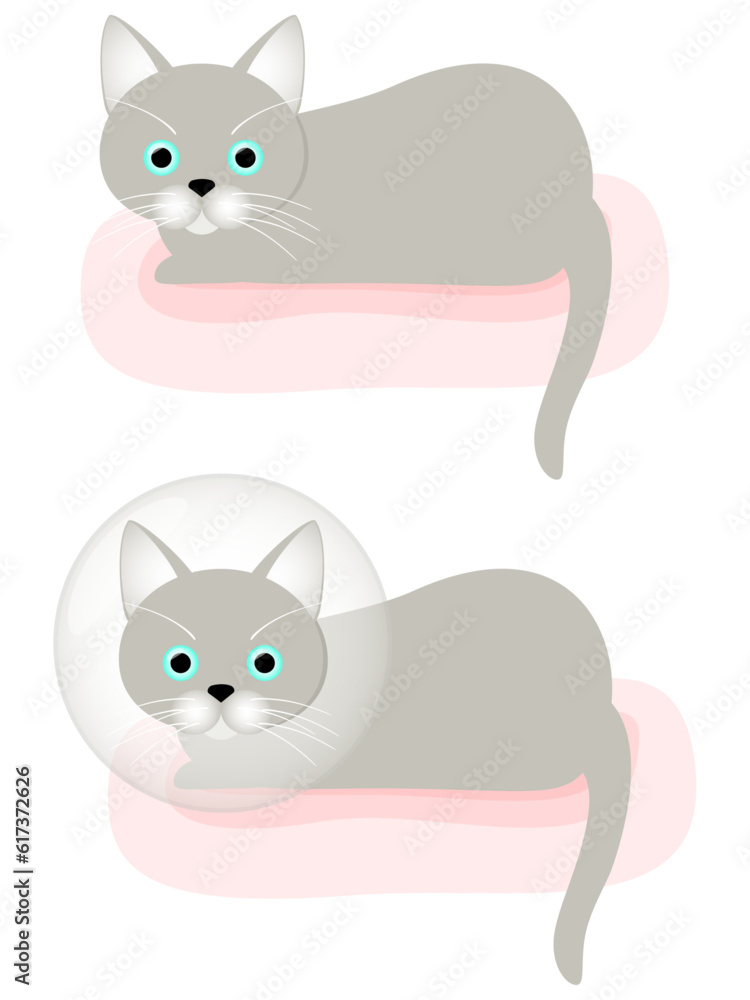 エリザベスカラーをつけてクッションに座る猫と普通の状態の猫のイラスト素材