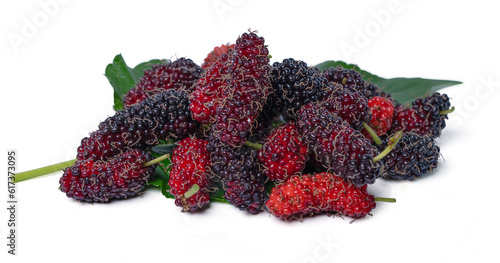 Top view organic Mulberry fruits with green leaves on white background.