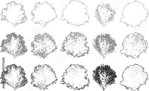 Tree elevation line silhouettes - shrub