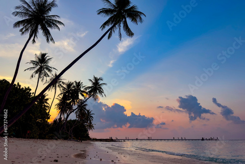 Fototapeta Naklejka Na Ścianę i Meble -  Summer tropical with colorful theme as palm trees on the beach background